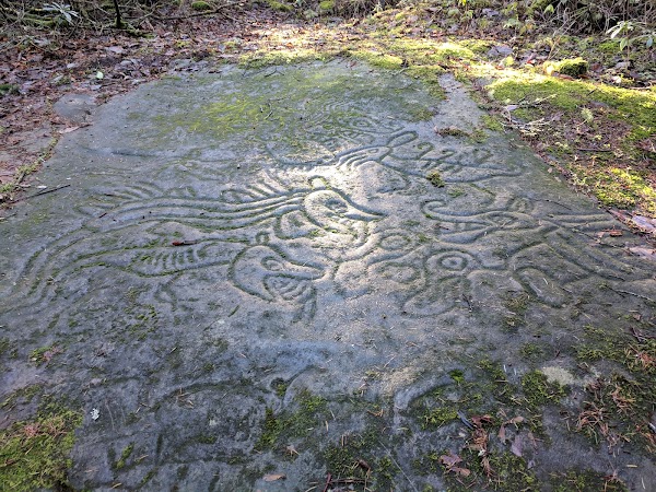 Petroglyph Provincial Park 5
