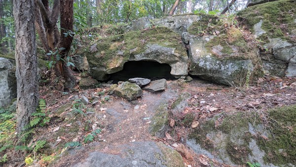 Petroglyph Provincial Park 4