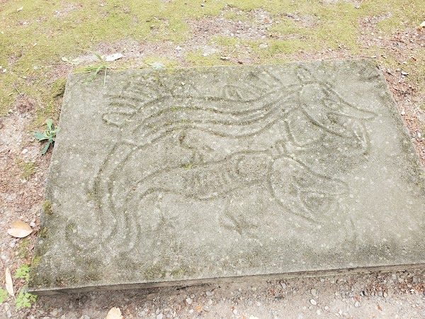 Petroglyph Provincial Park 3