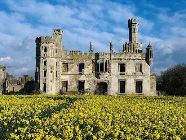Duckett's Grove