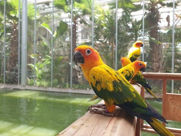 Gyeongju Bird Park 5