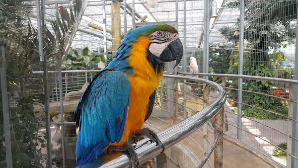 Gyeongju Bird Park 4