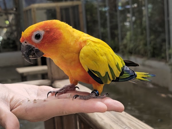 Gyeongju Bird Park 2