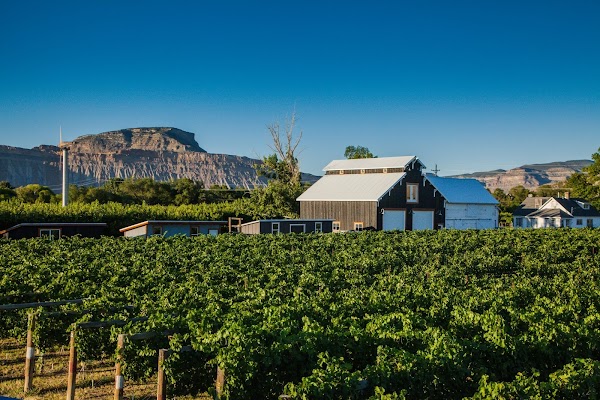 Restoration Vineyards 1