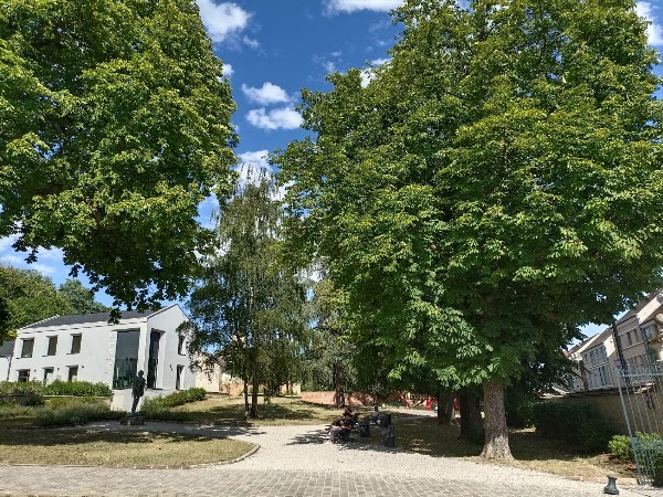 Parc Van Gogh 5