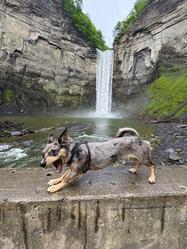 Taughannock Falls 2