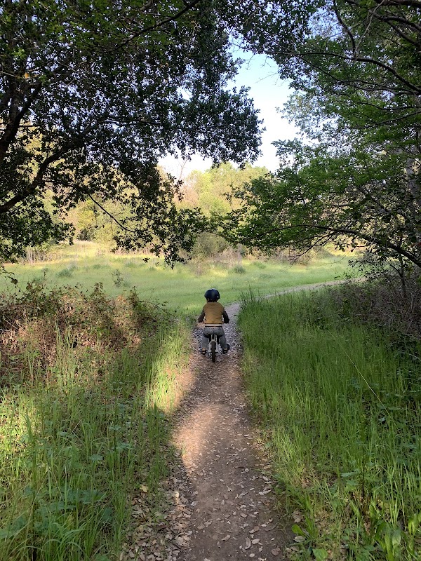 Sonoma Valley 5
