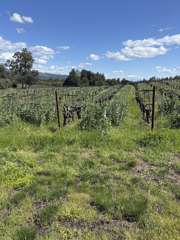 Sonoma Valley 4