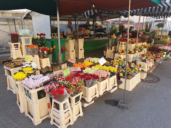 Grünmarkt 5