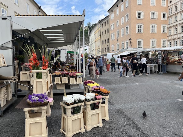 Grünmarkt 3