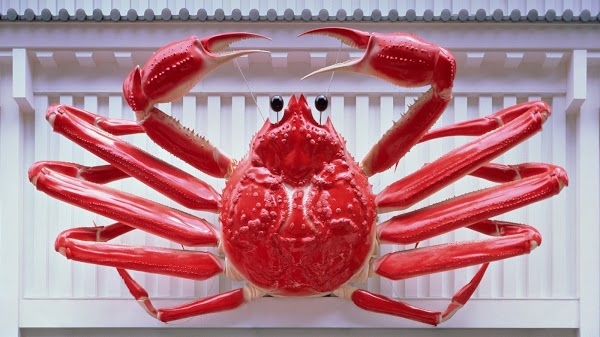 Kanidouraku Kyoto Fushimi 3