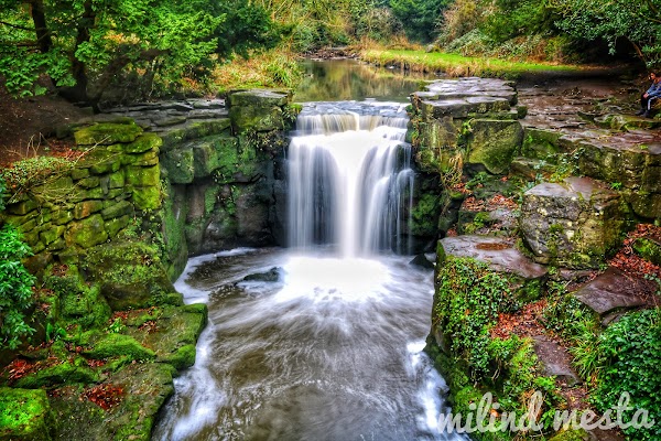 Jesmond Dene