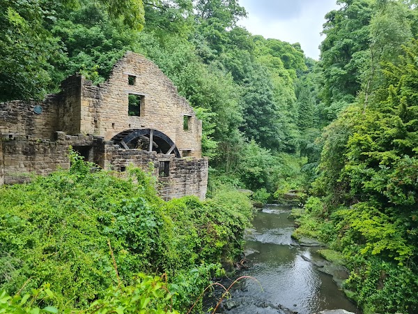 Jesmond Dene 5