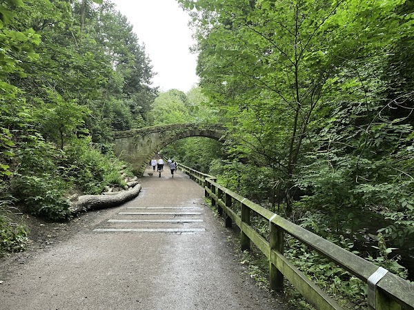 Jesmond Dene 4