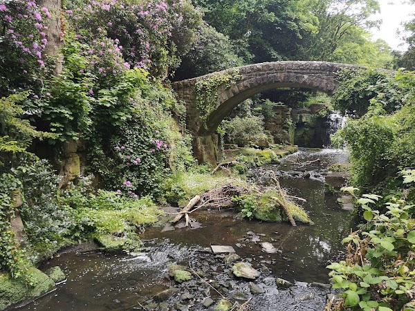 Jesmond Dene 3