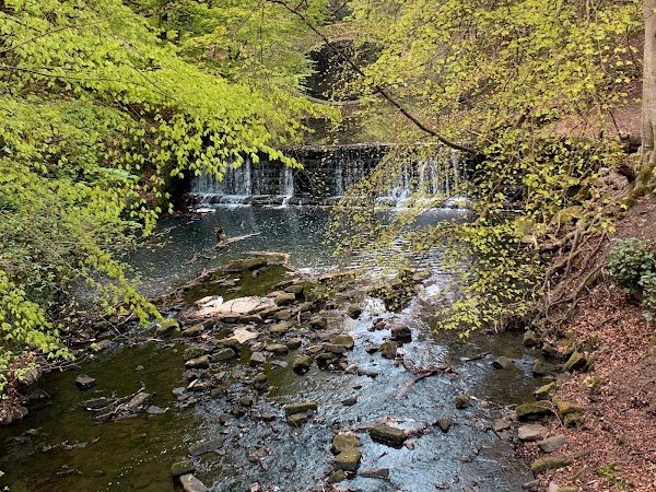 Jesmond Dene 2