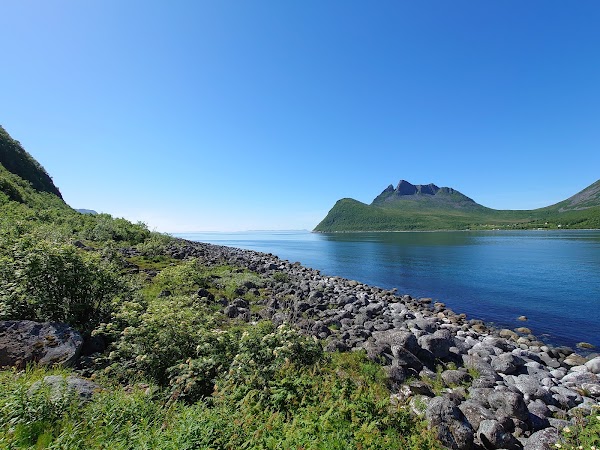 Gryllefjord 2
