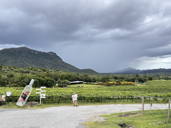 Monsoon Valley Vineyard 2