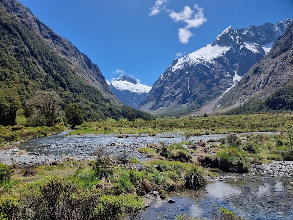 Nz 39
