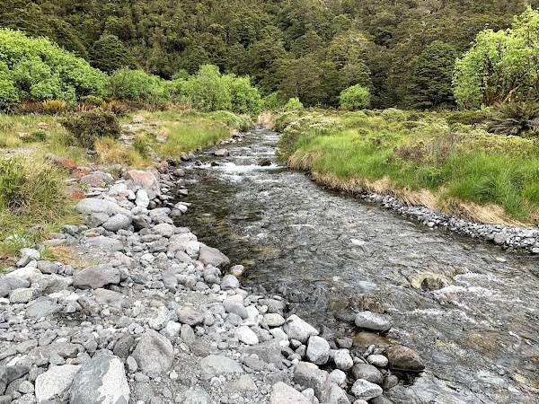Monkey Creek 3