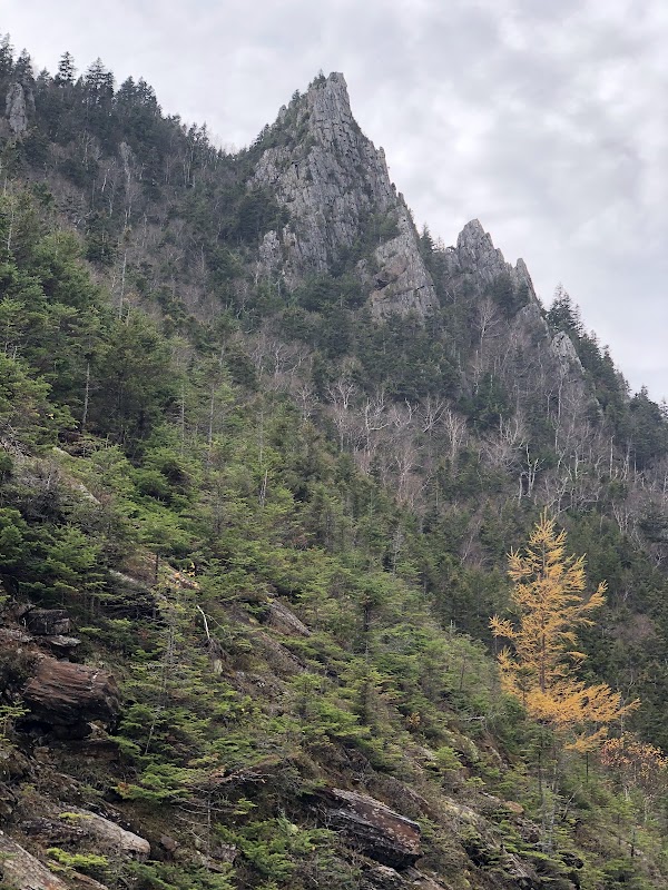 Table Rock 5