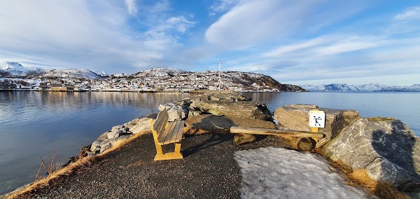 Skjervoy 1