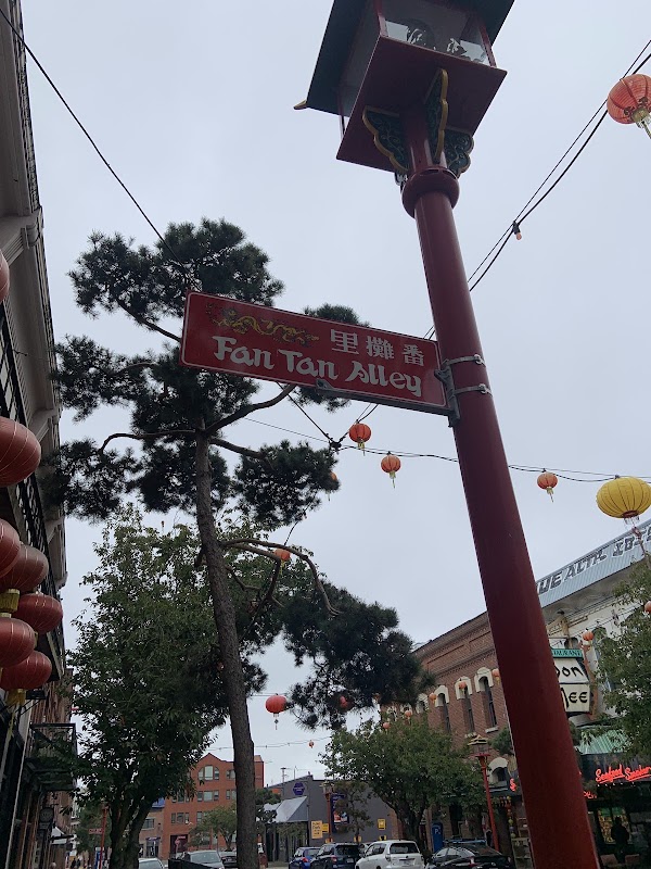 Fan Tan Alley 5