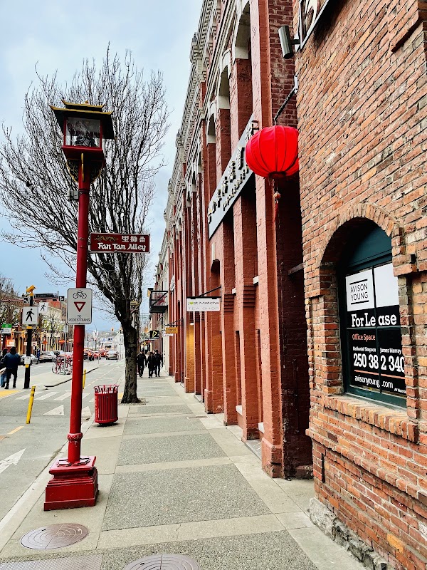 Fan Tan Alley 4