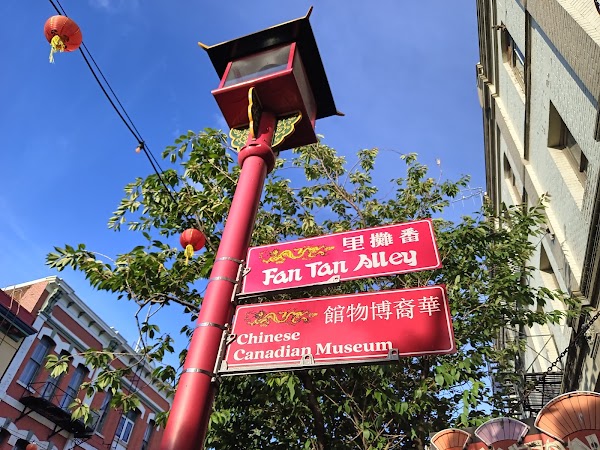 Fan Tan Alley 3