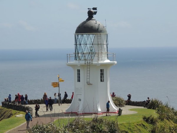 Cape Reinga 3