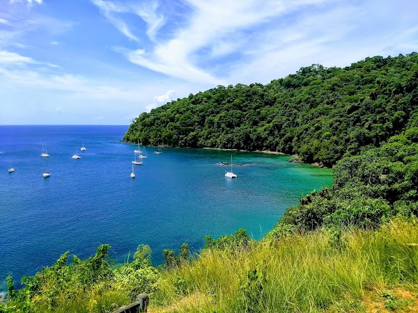 Pirate's Bay 1