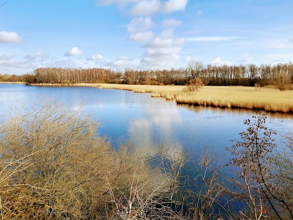 Marais d'Harchies