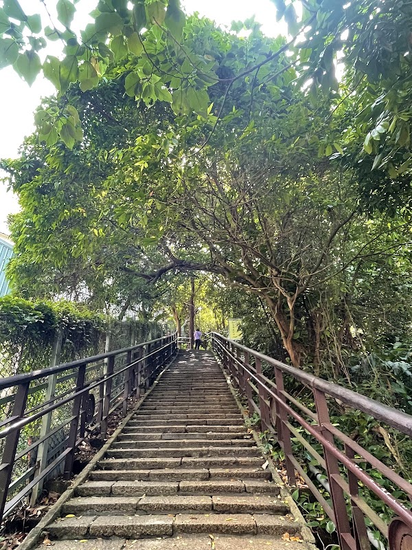 🇹🇼Taipei (Nature) 12
