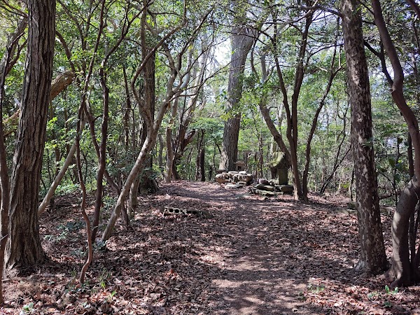 Mount Bizan 2