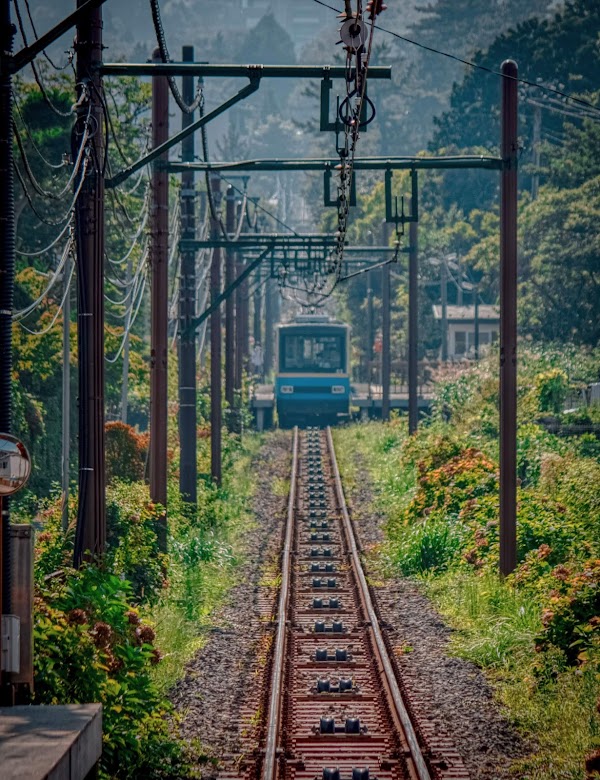 Japan 78