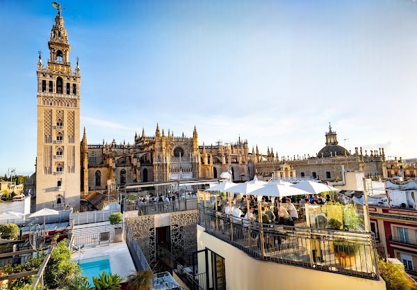 La Terraza del EME 4