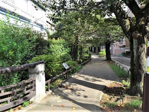 Kitazawa River Green Way 1