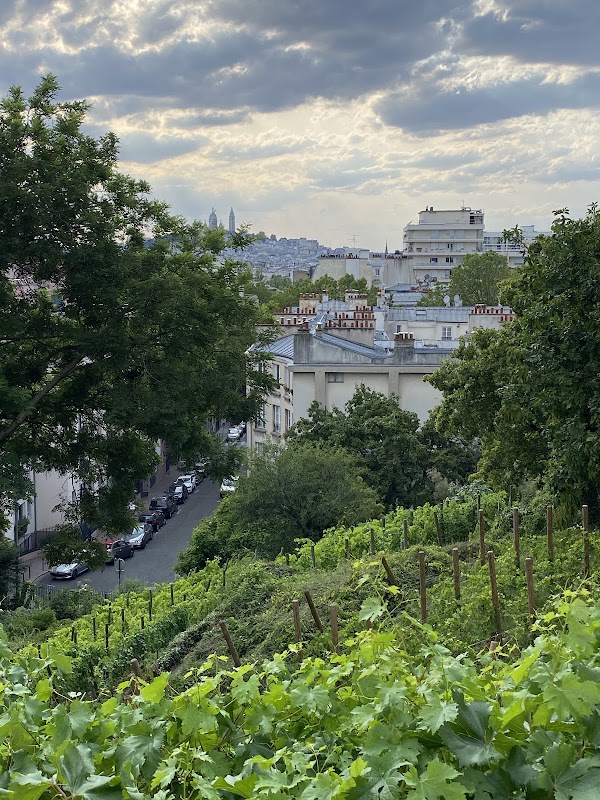 Jardin Bergeyre