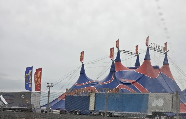 Do Portugal Circus 4
