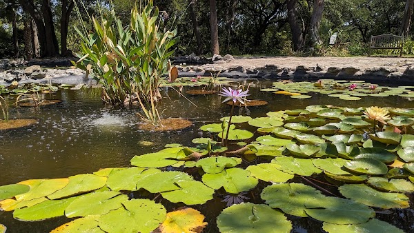 Mayfield Park and Nature Preserve 3