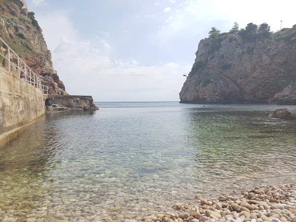 Kolorina 5