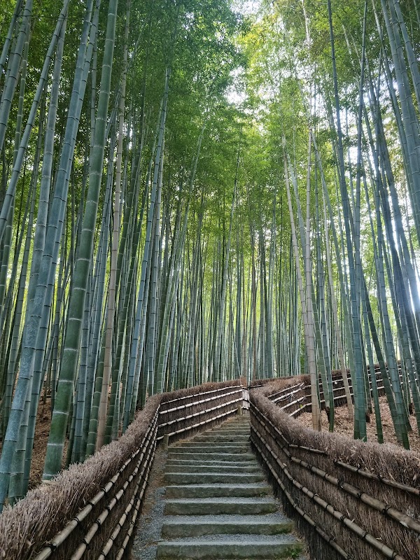 Saga Toriimoto Preserved Street 3