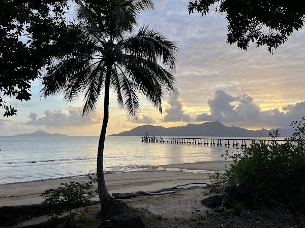 Cardwell