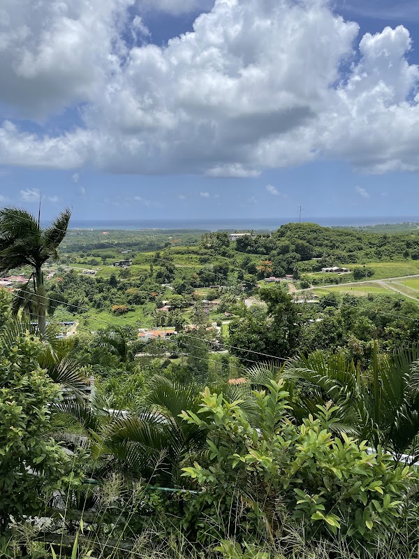 Luquillo 5