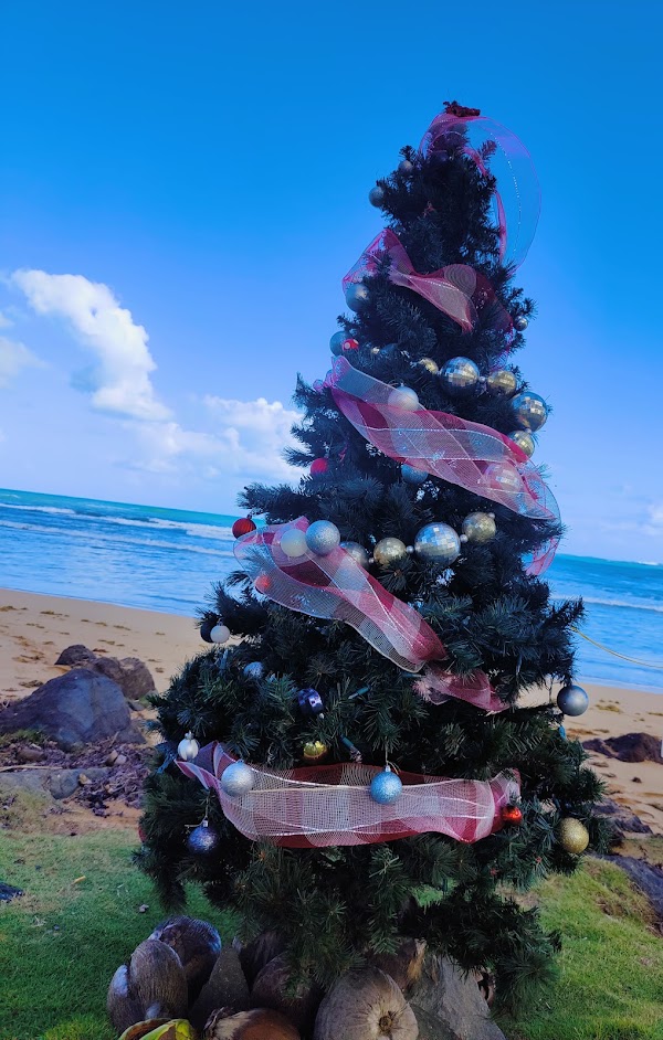 Luquillo 2
