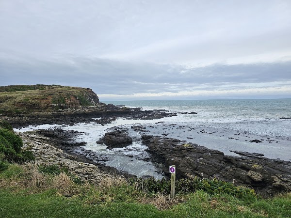 Curio Bay Cliffs