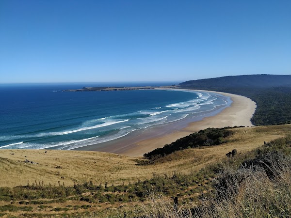 Curio Bay Cliffs 3
