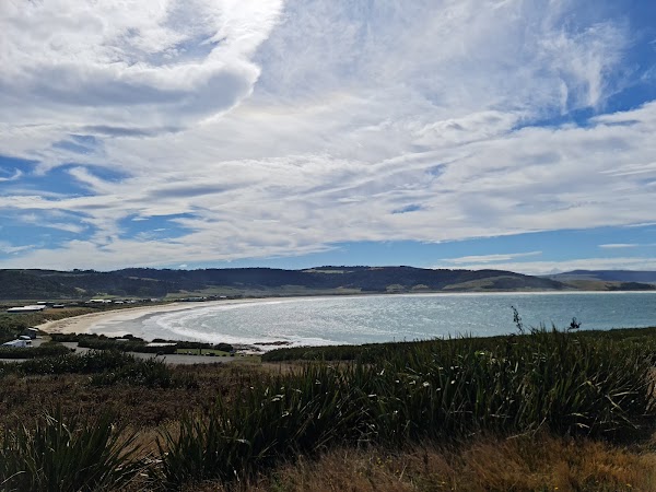 Curio Bay Cliffs 2