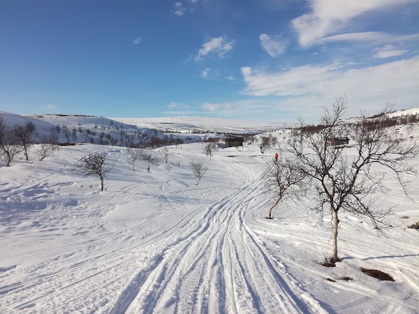 Paistunturin erämaa (Báišduoddara meahcceguovlu)