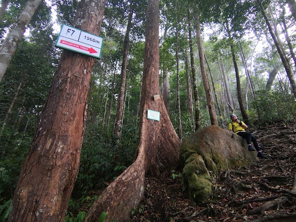 Mount Santubong 5